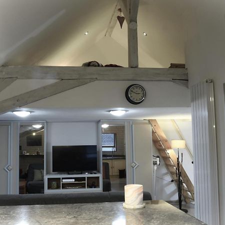 Duplex Spacieux Tout Confort มูลูส ภายนอก รูปภาพ