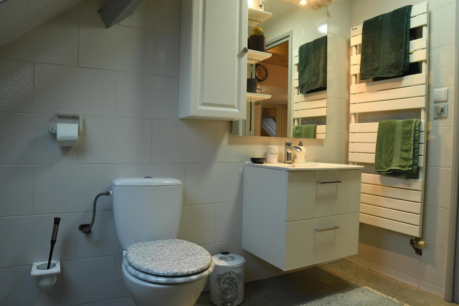 Duplex Spacieux Tout Confort มูลูส ภายนอก รูปภาพ