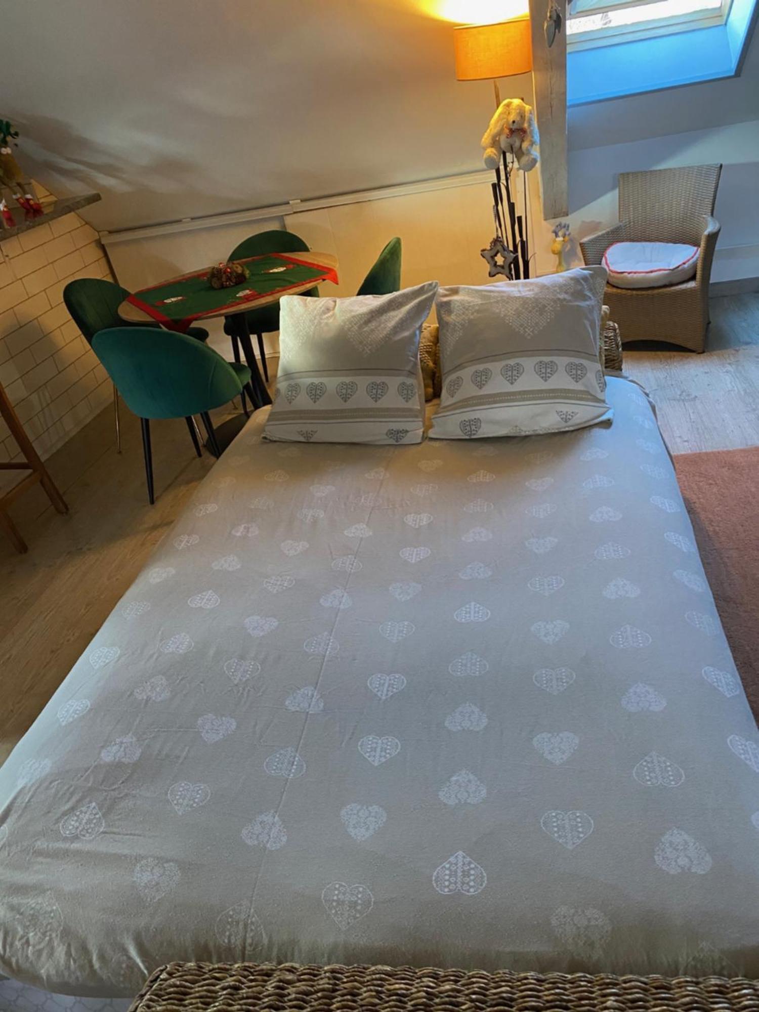 Duplex Spacieux Tout Confort มูลูส ภายนอก รูปภาพ