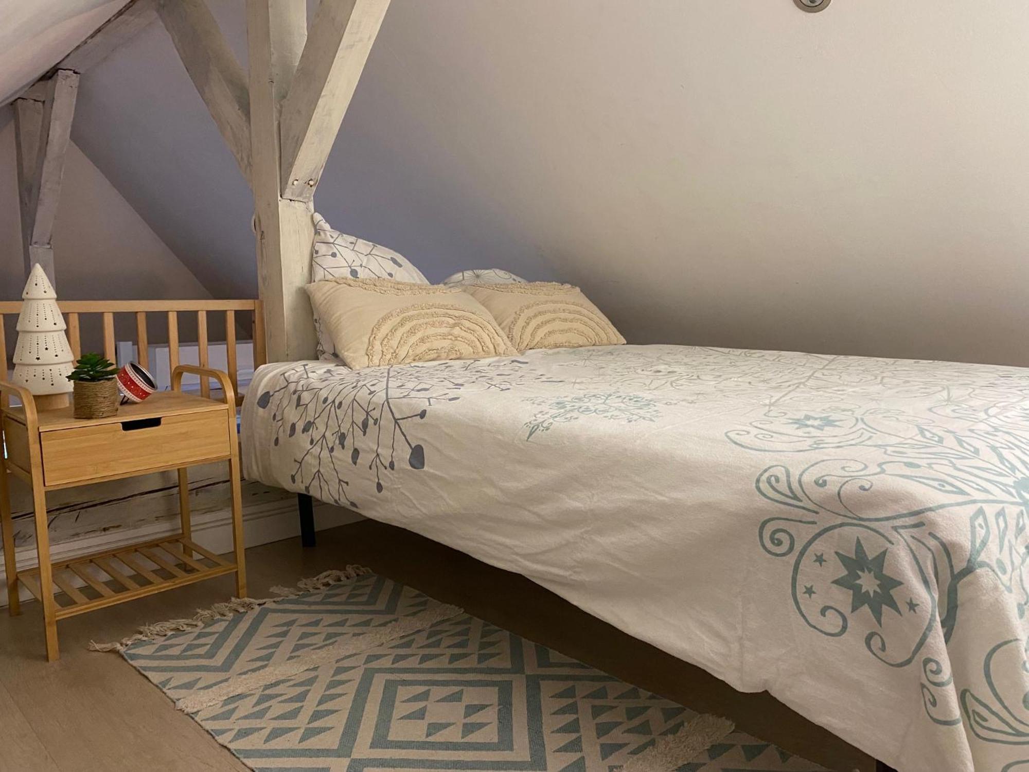Duplex Spacieux Tout Confort มูลูส ภายนอก รูปภาพ